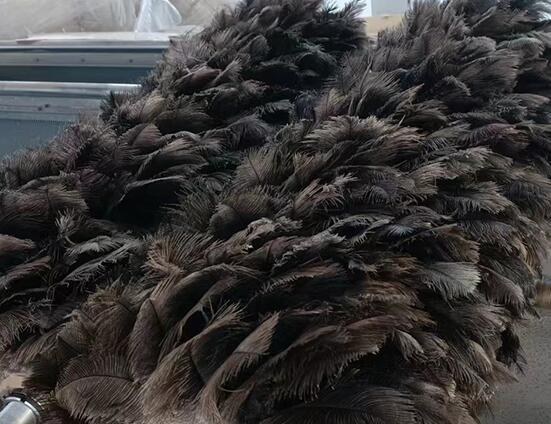 汽車噴涂鴕鳥(niǎo)毛毛刷